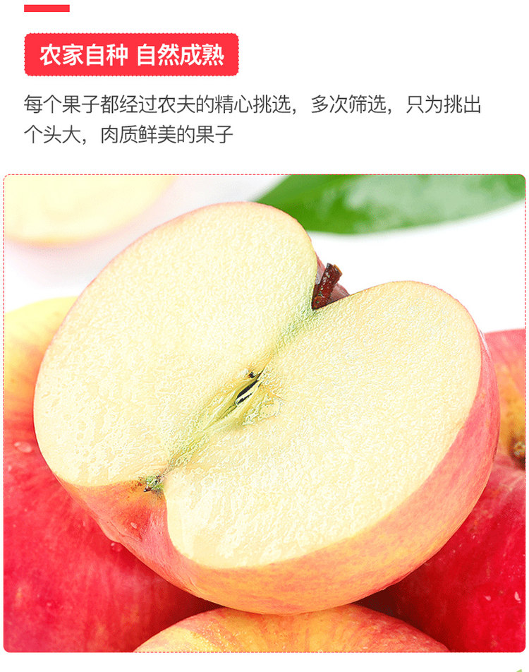 红宝利 洛川高原苹果10斤 图6