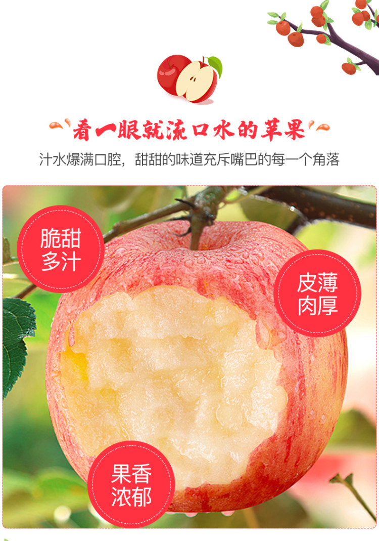 红宝利 洛川高原苹果10斤 图2
