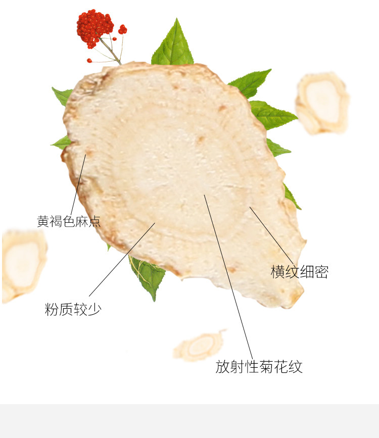 第二件0元  四茗 西洋参片瓶装25g 抗疲劳衰老提高记忆力 图3