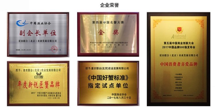 星农联合 黄金宴鲍 蒜蓉粉丝鲍鱼切片 300g*3件  6只/袋 图1