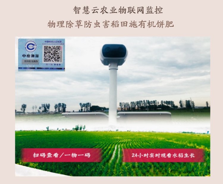 荣发 吉林延边石板新大米 10斤 真空装 图3