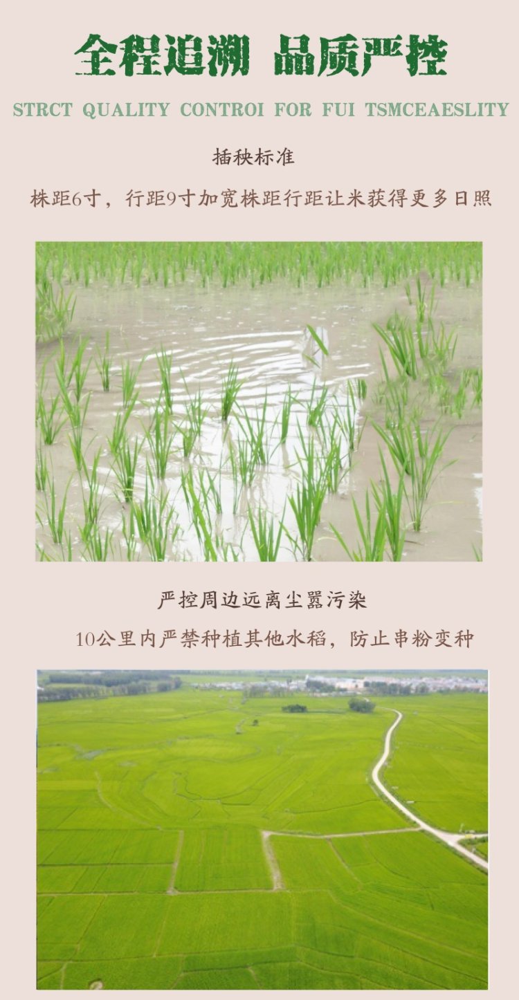 荣发 吉林延边石板新大米 10斤 真空装 图2