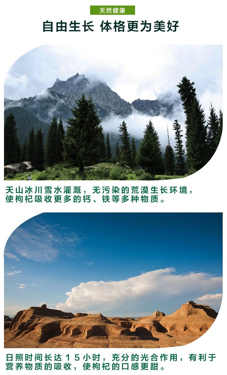 满分好评 新疆特级头茬枸杞 500g 图3