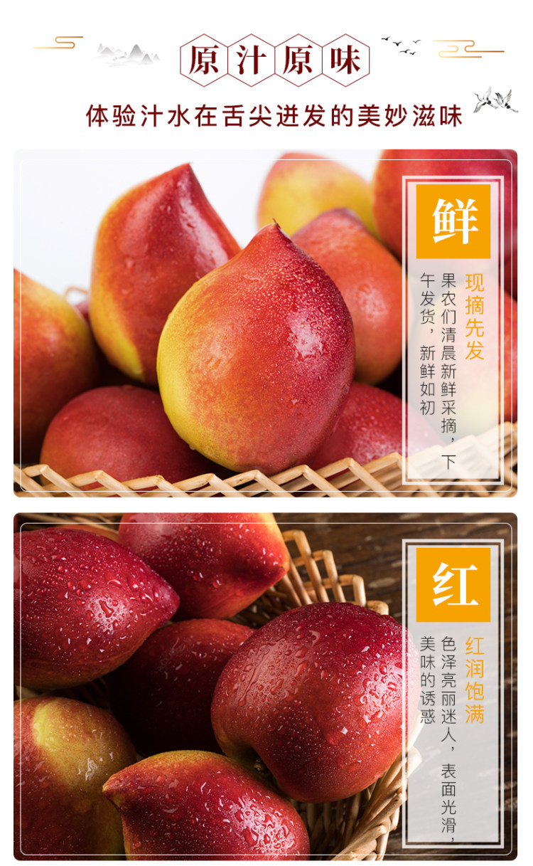 顺丰包邮 现货大连黄油桃大油桃 3斤 4.9分 图4