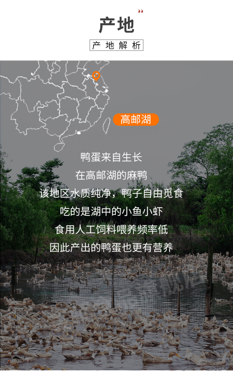 第二件0元 真邮 大个红心烤咸鸭蛋60g*20枚 图7