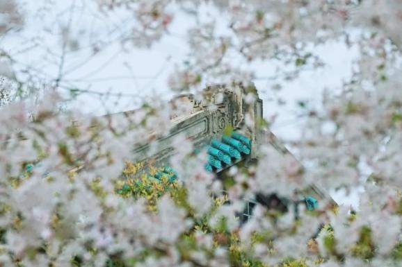 文具实验室： 樱花看不了，我还有一波樱花限定文具留给你 图1