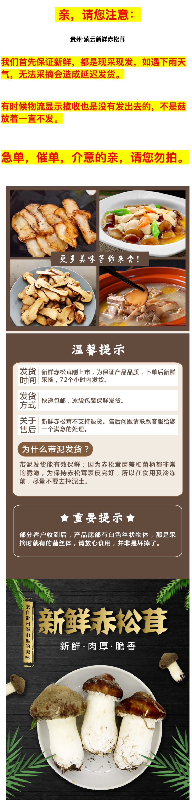 紫云 新鲜赤松茸 1000g 图1