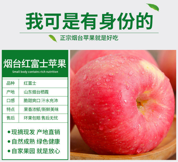 山东烟台栖霞红富鲜苹果 5斤装 图3