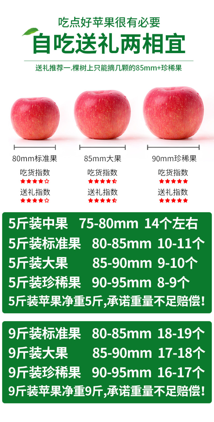 山东烟台栖霞红富鲜苹果 5斤装 图1