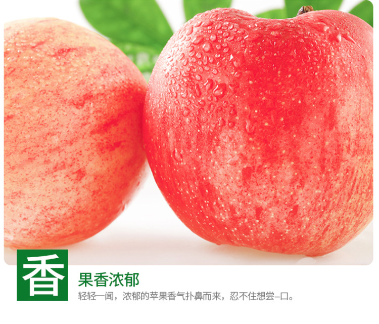山东烟台栖霞红富鲜苹果 5斤装 图6