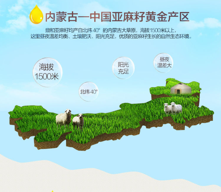 鼎和 内蒙古纯香纯胡麻油 1L 图5
