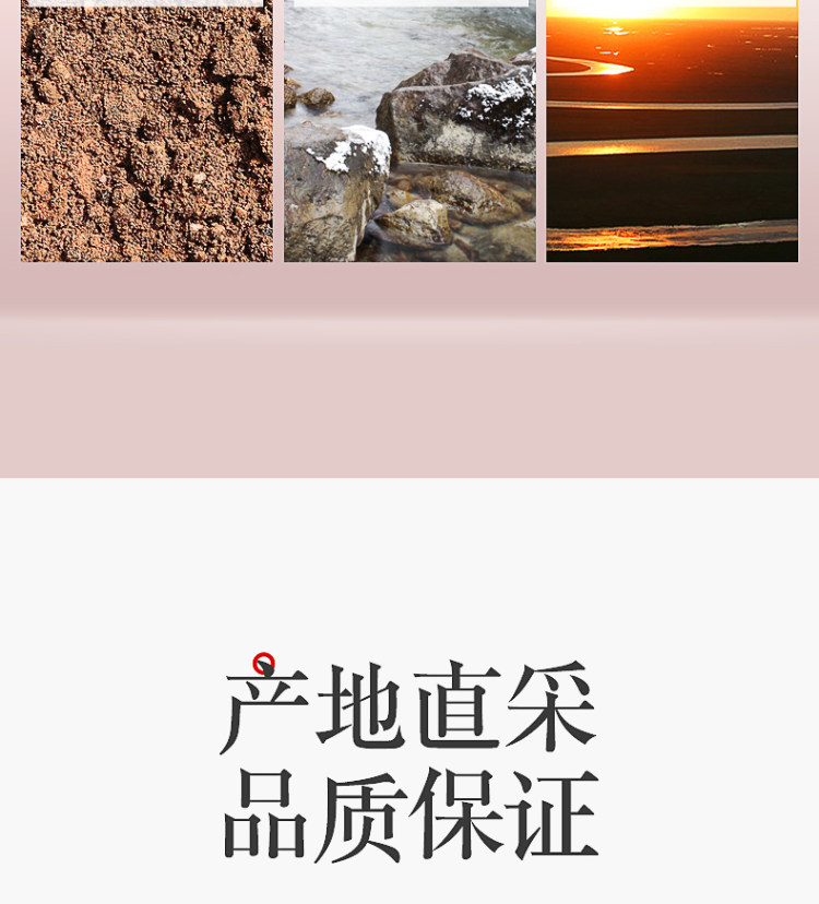 新疆和田六星红枣500g 4CM鸡蛋大小 图4
