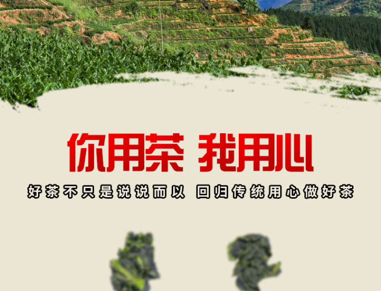 福建春茶铁观音 兰花香浓香型 250g 图3