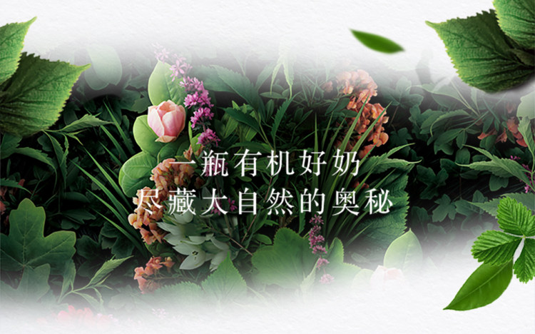 蒙牛 特仑苏 有机纯牛奶 利乐梦幻盖250ml×24包整箱 图4
