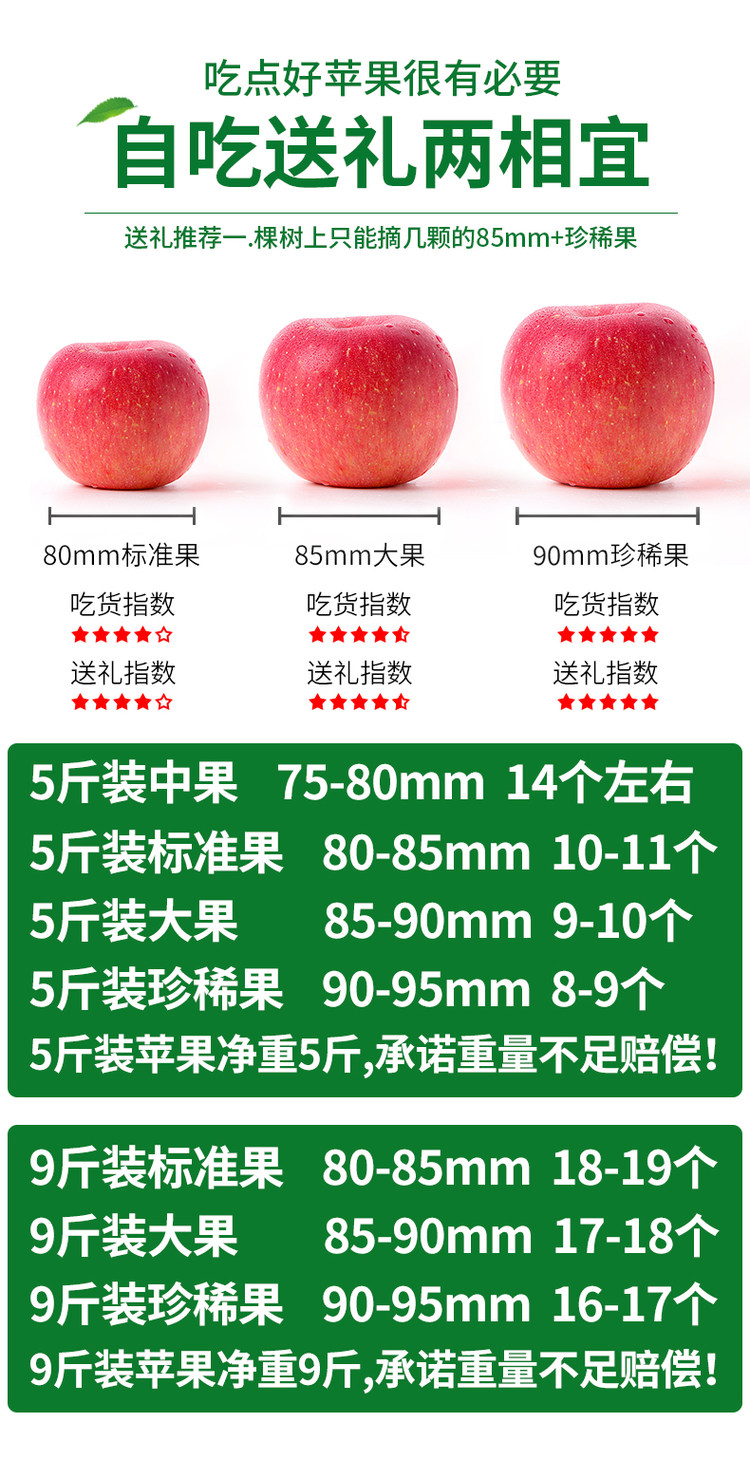 山东烟台栖霞红富鲜苹果 5斤装 图1