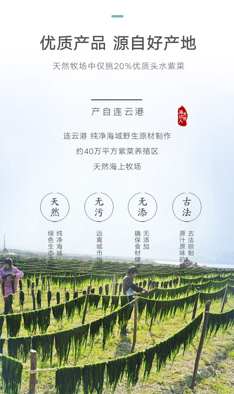 苔知 趣海苔夹心脆 即食芝麻夹心海苔罐装 40g*3件 图3