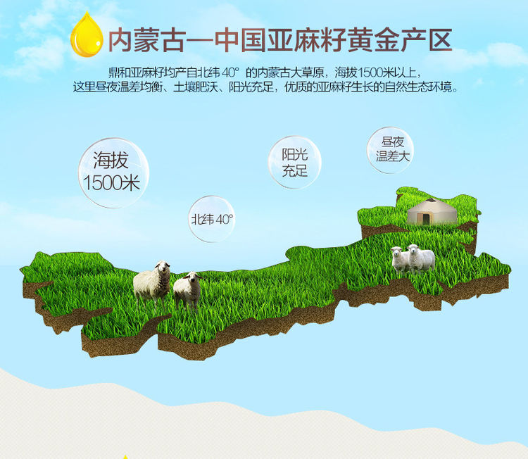 鼎和 内蒙古纯香纯胡麻油 1L 图5