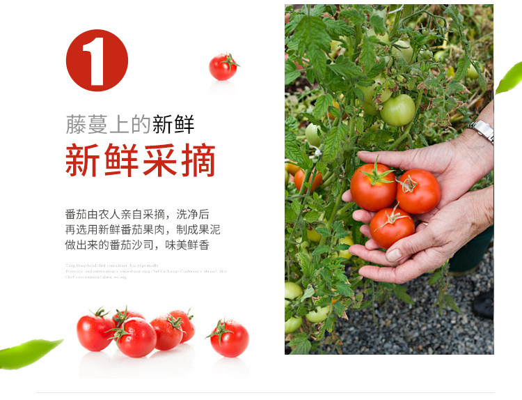 呱呱牌 番茄沙司酱 2.7斤 图4