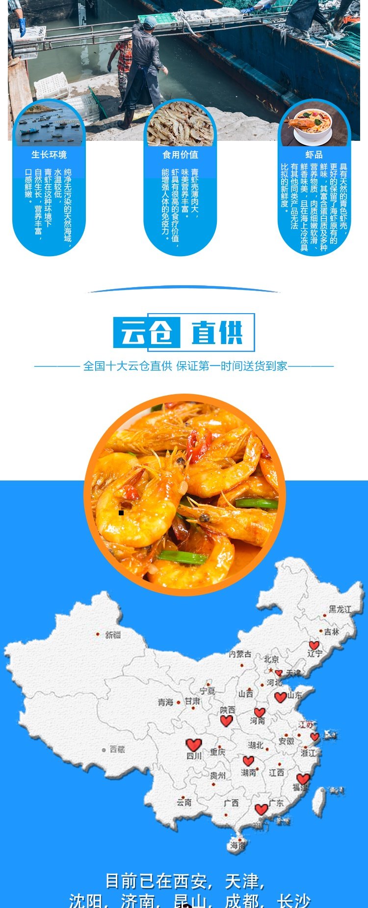鲜活 大基围虾河虾甜虾对虾  一斤半 图1