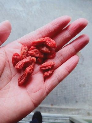 苏弥山 青海有机红枸杞 500g 特优级大颗果 4.9高评分 图1