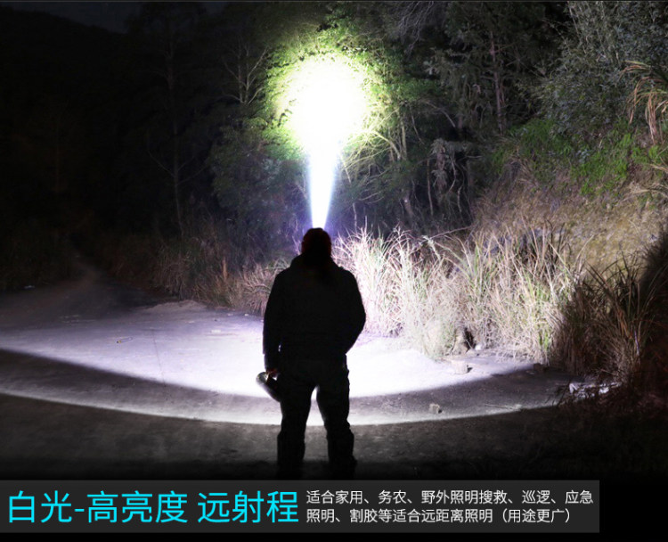 神鱼 头戴式充电头灯手电筒 图2