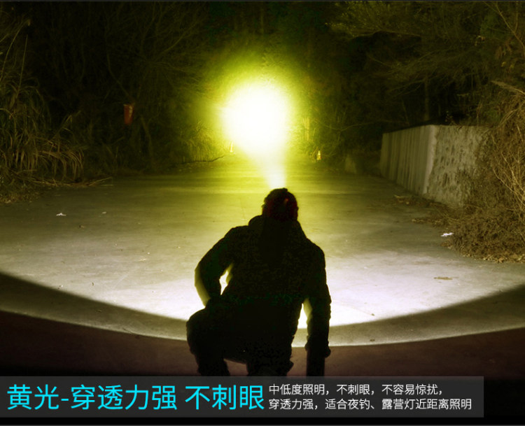 神鱼 头戴式充电头灯手电筒 图1