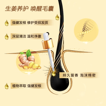 23日0点： SEEYOUNG 滋源 生姜强根健发洗护发5件套装（洗535ml+便携装235ml*2+干发帽+套l旅行装60ml*2）*2（送 小滋礼盒60ml*6） 图4