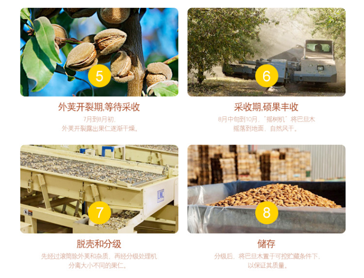 天虹牌 美国加州原产 巴旦木仁 500g 图5