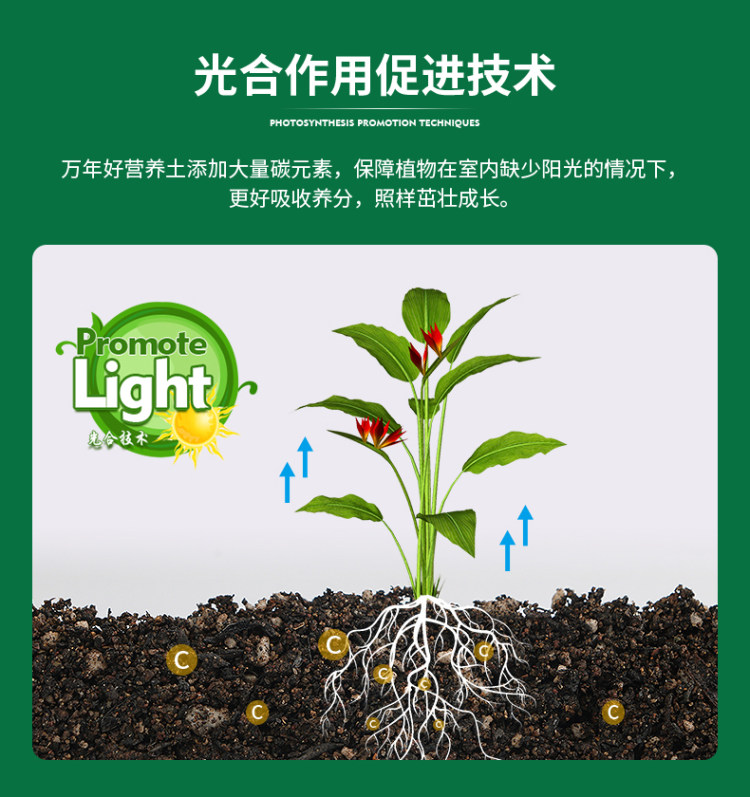 万年好 通用型进口配方土营养土花 5斤 图7