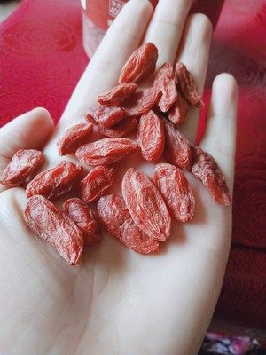 欧盟有机认证 苏弥山 出口品质 特优级枸杞 400g罐装 图1