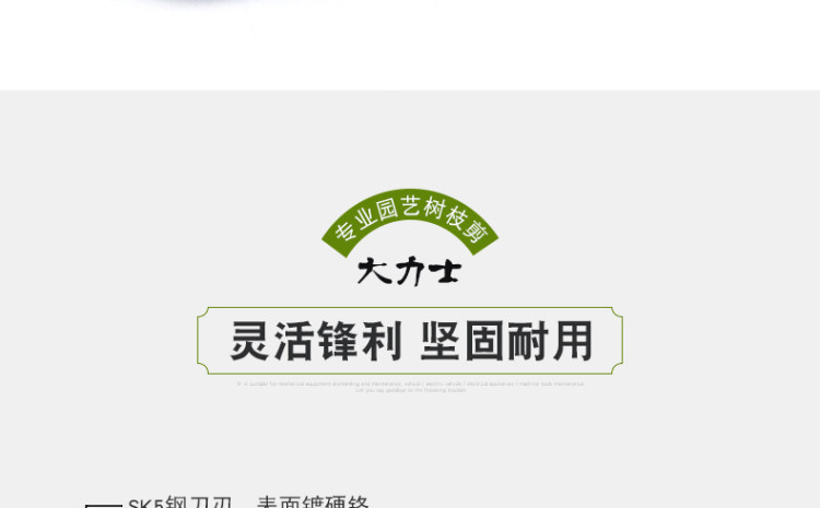 DAREX 园艺树枝剪 特别省力 图6