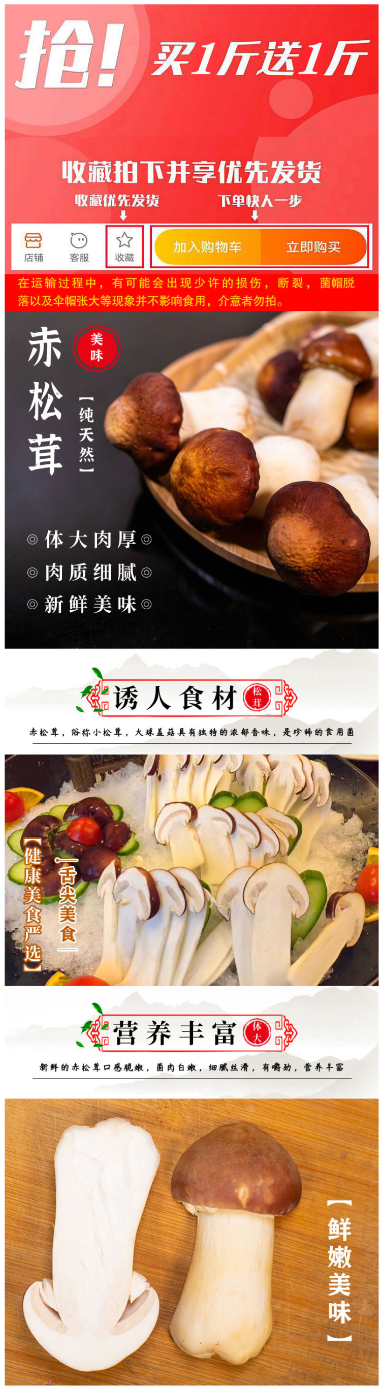 初晴 新鲜赤松茸 1000g 图1