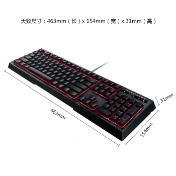 RAZER 雷蛇 命运2定制雨林狼蛛幻彩版 机械式薄膜键盘 RGB背光 图3