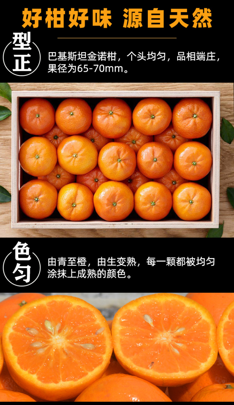 巴基斯坦进口 甜桔子大橘保甜 4.7斤 图6