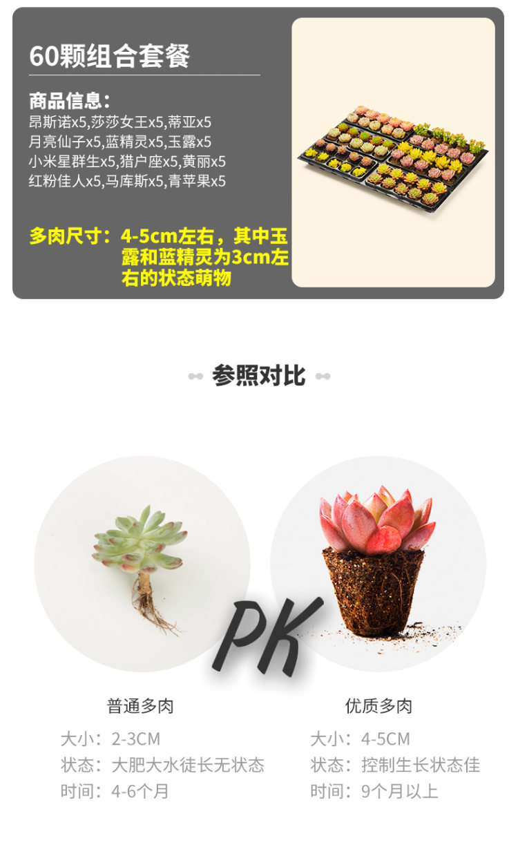 肉趣 多肉植物组合盆栽 图3