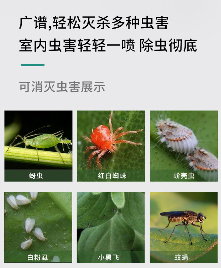花卉花草除虫杀虫剂 送植物营养液 图3