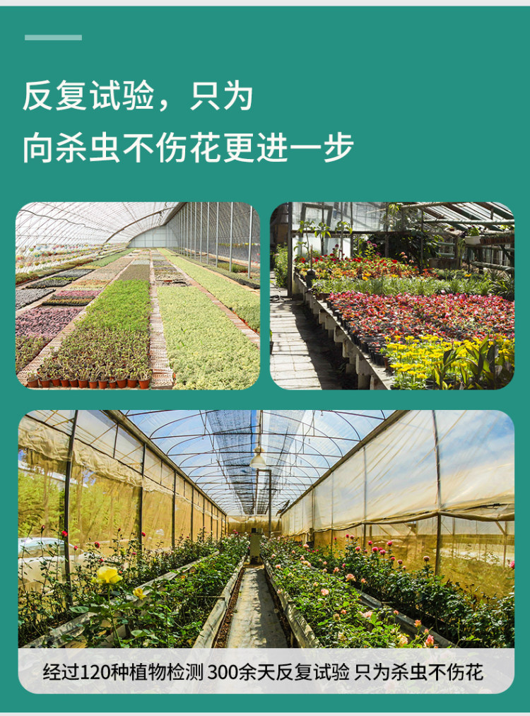 花卉花草除虫杀虫剂 送植物营养液 图4