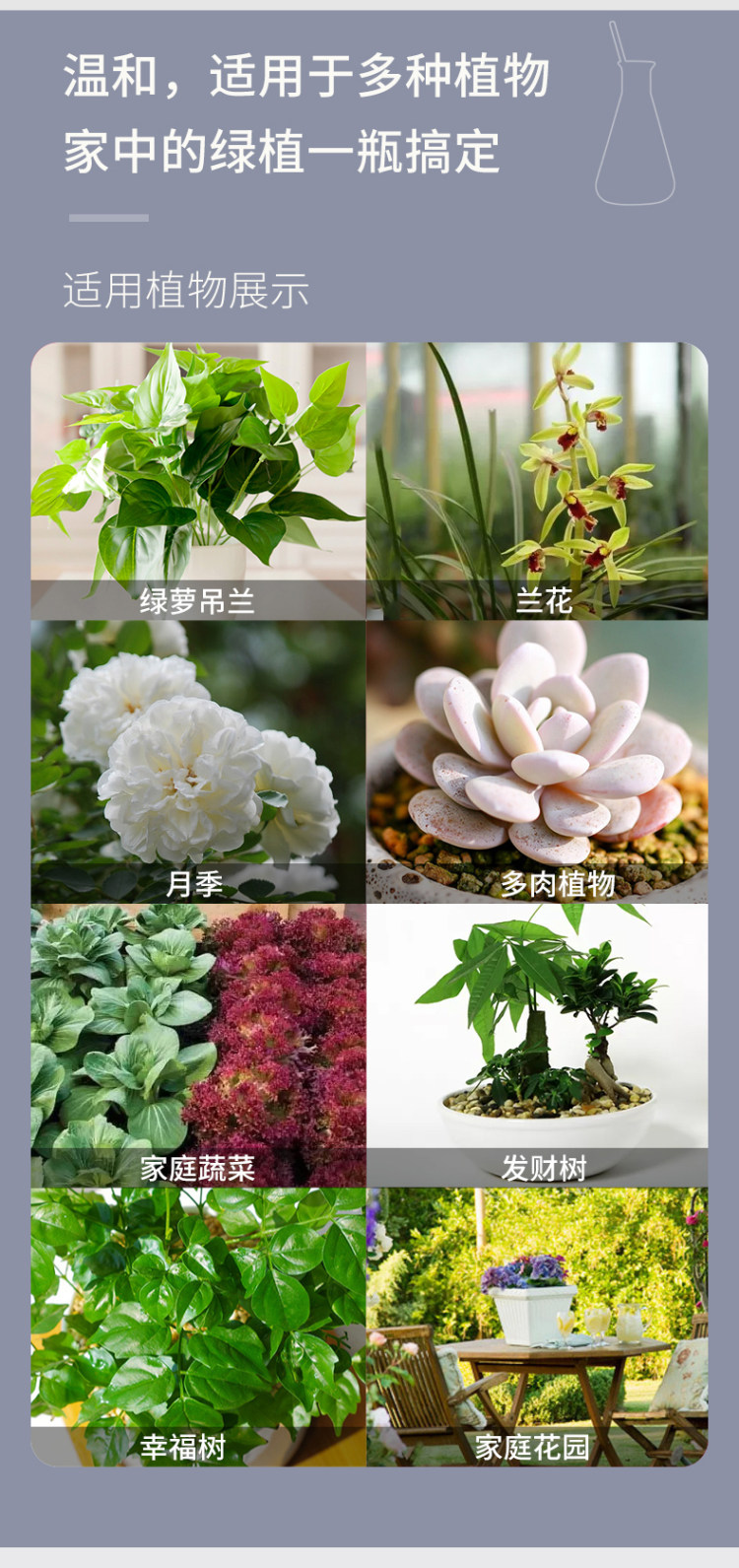 花卉花草除虫杀虫剂 送植物营养液 图6