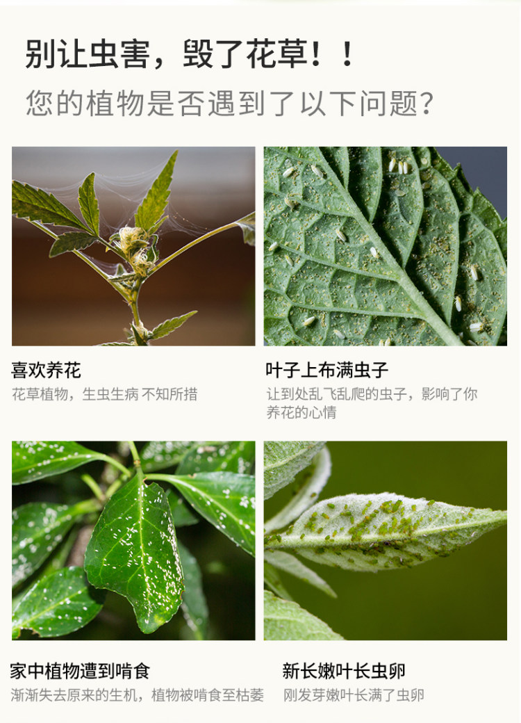 花卉花草除虫杀虫剂 送植物营养液 图1