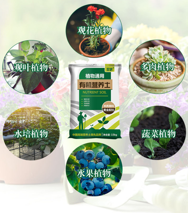 多肉营养土花土有机花泥种植土 图7