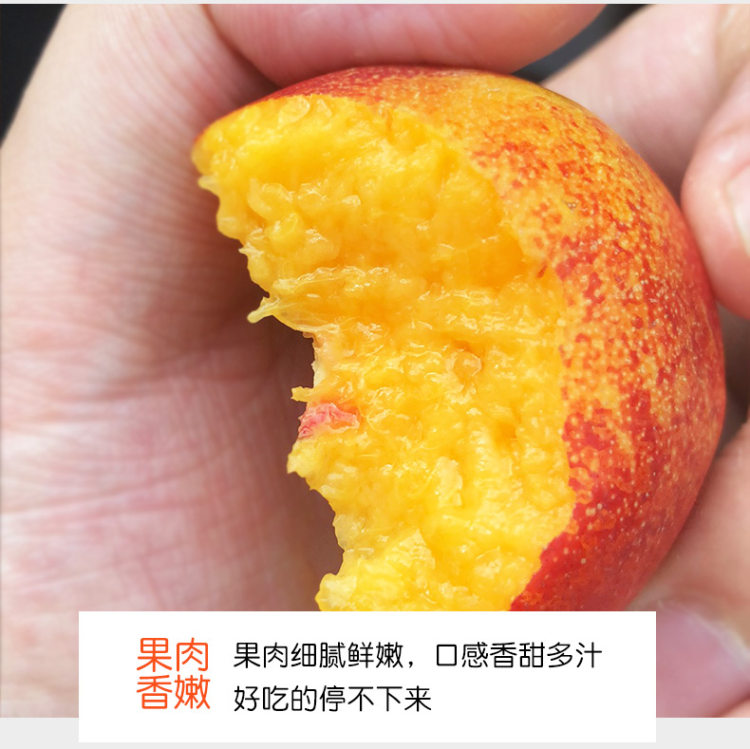 吉春 新鲜脆甜油桃 5斤 图6