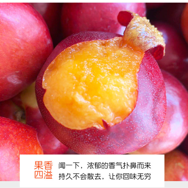 吉春 新鲜脆甜油桃 5斤 图5