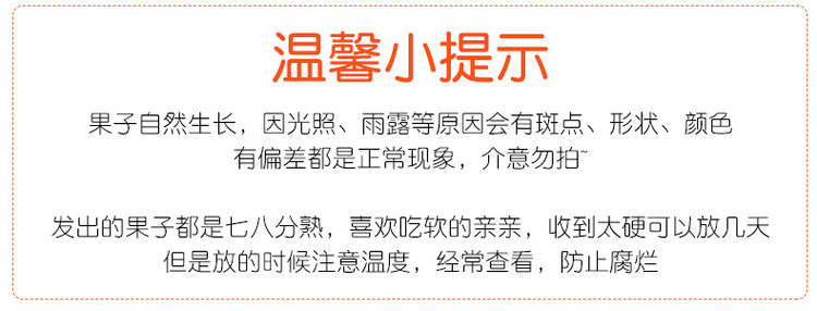 吉春 新鲜脆甜油桃 5斤 图10