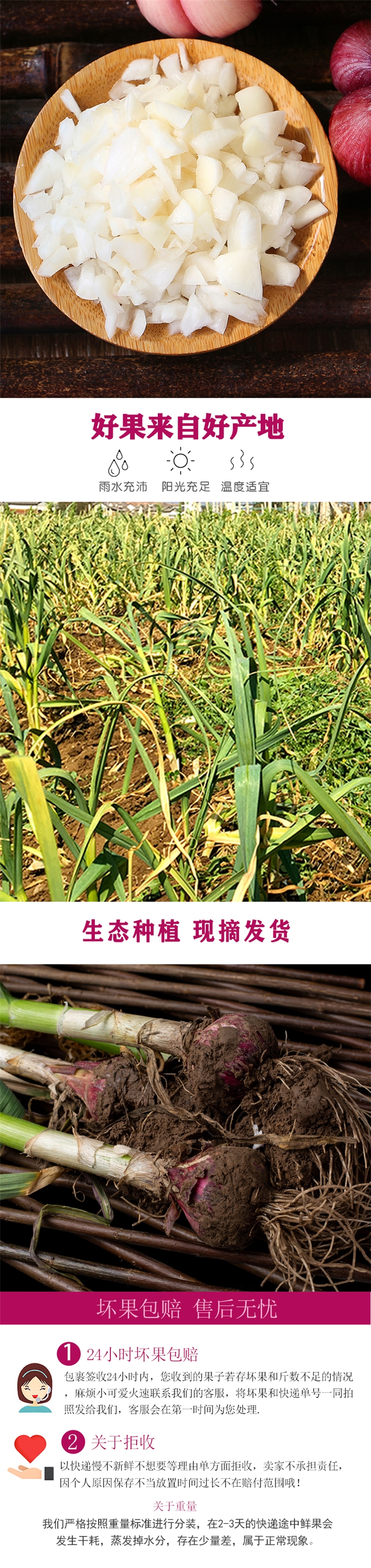 现挖现发 河南新鲜紫皮大蒜5斤 图3