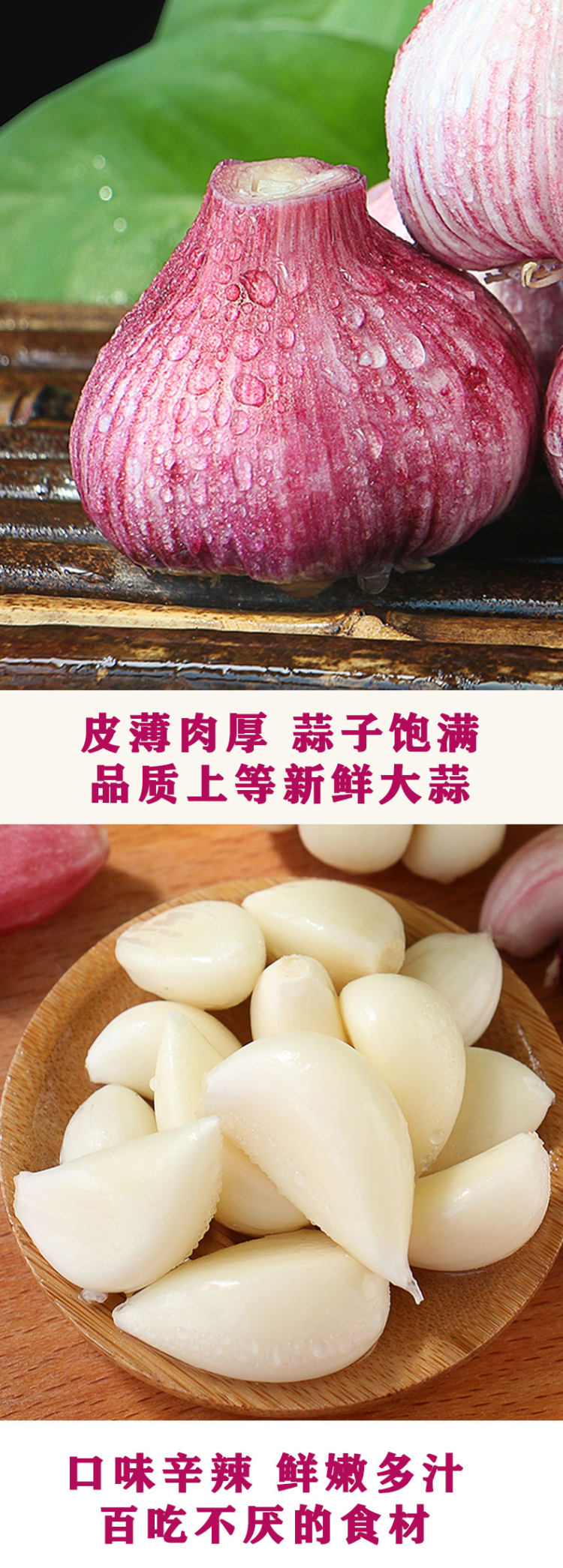 现挖现发 河南新鲜紫皮大蒜5斤 图2
