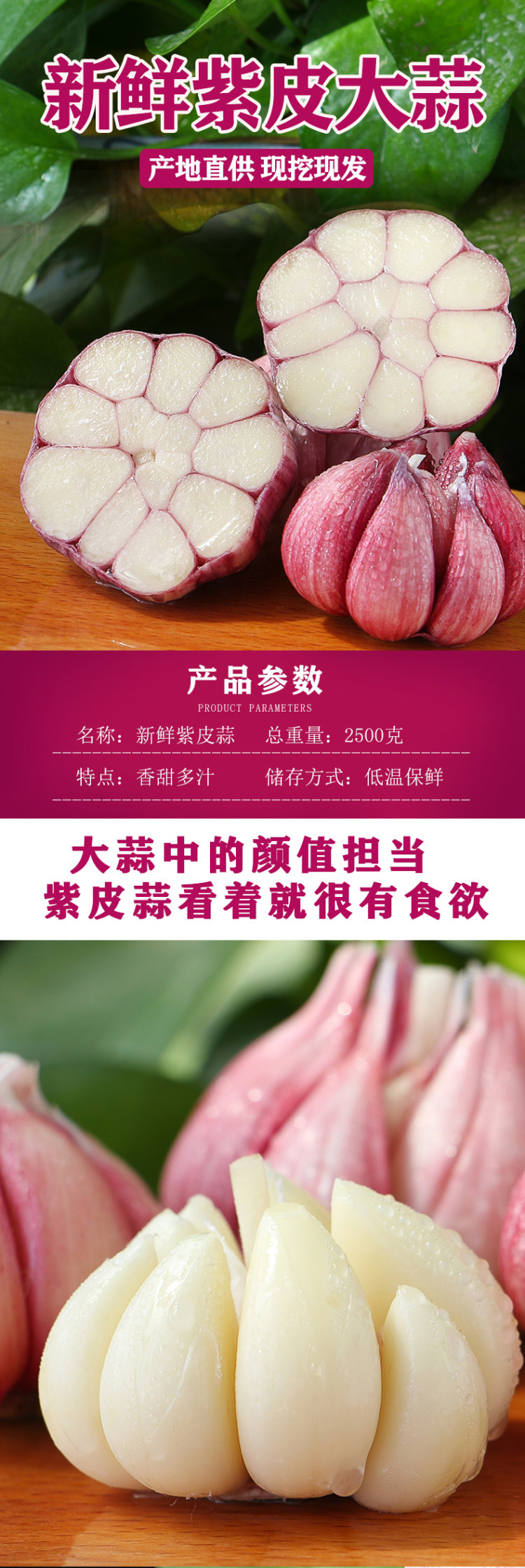 现挖现发 河南新鲜紫皮大蒜5斤 图1