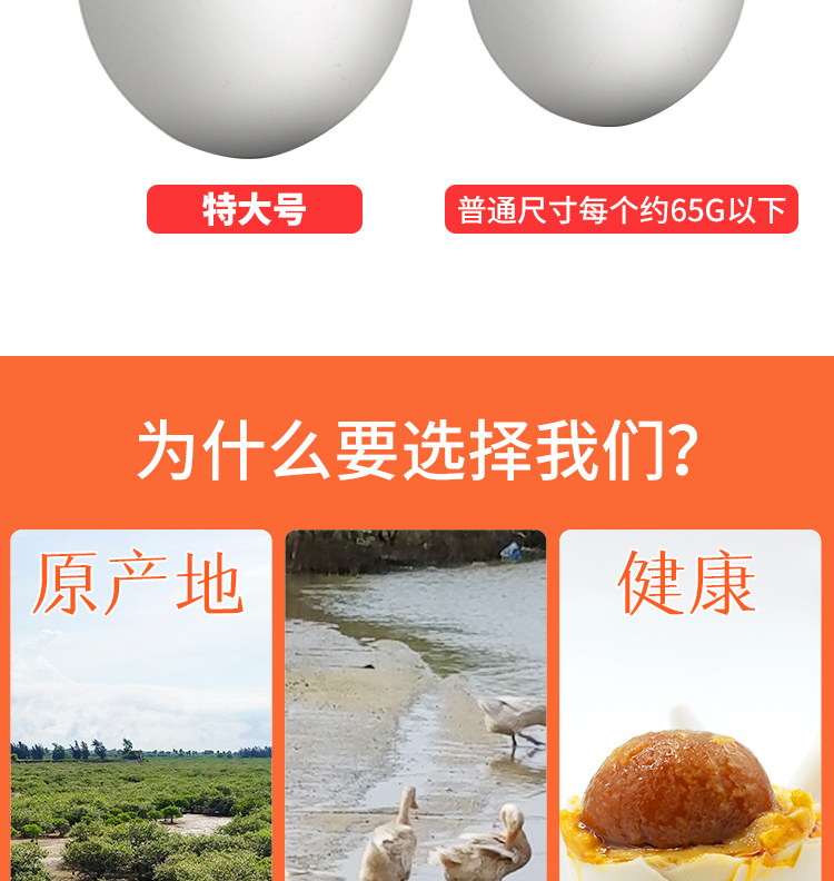 北海特产 鸿富 烤海鸭蛋 20枚 单枚70g以上 图5