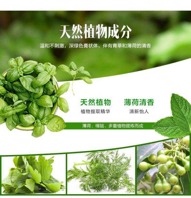 泰国青草膏 成人儿童驱蚊膏防晕车 图4