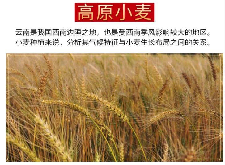 中华老字号 吉庆祥 玫瑰鲜花饼 25g*20枚 图7