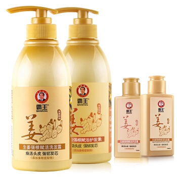 BAWANG 霸王 生姜洗护套装（洗发露450ml+护发素450ml+送旅行装80ml*2） *2件 图1